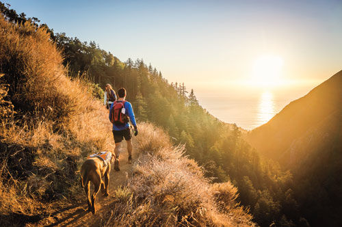 Basking in Big Sur
